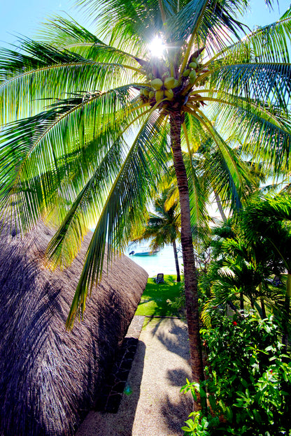 Mauritius - Villa Belle Mare