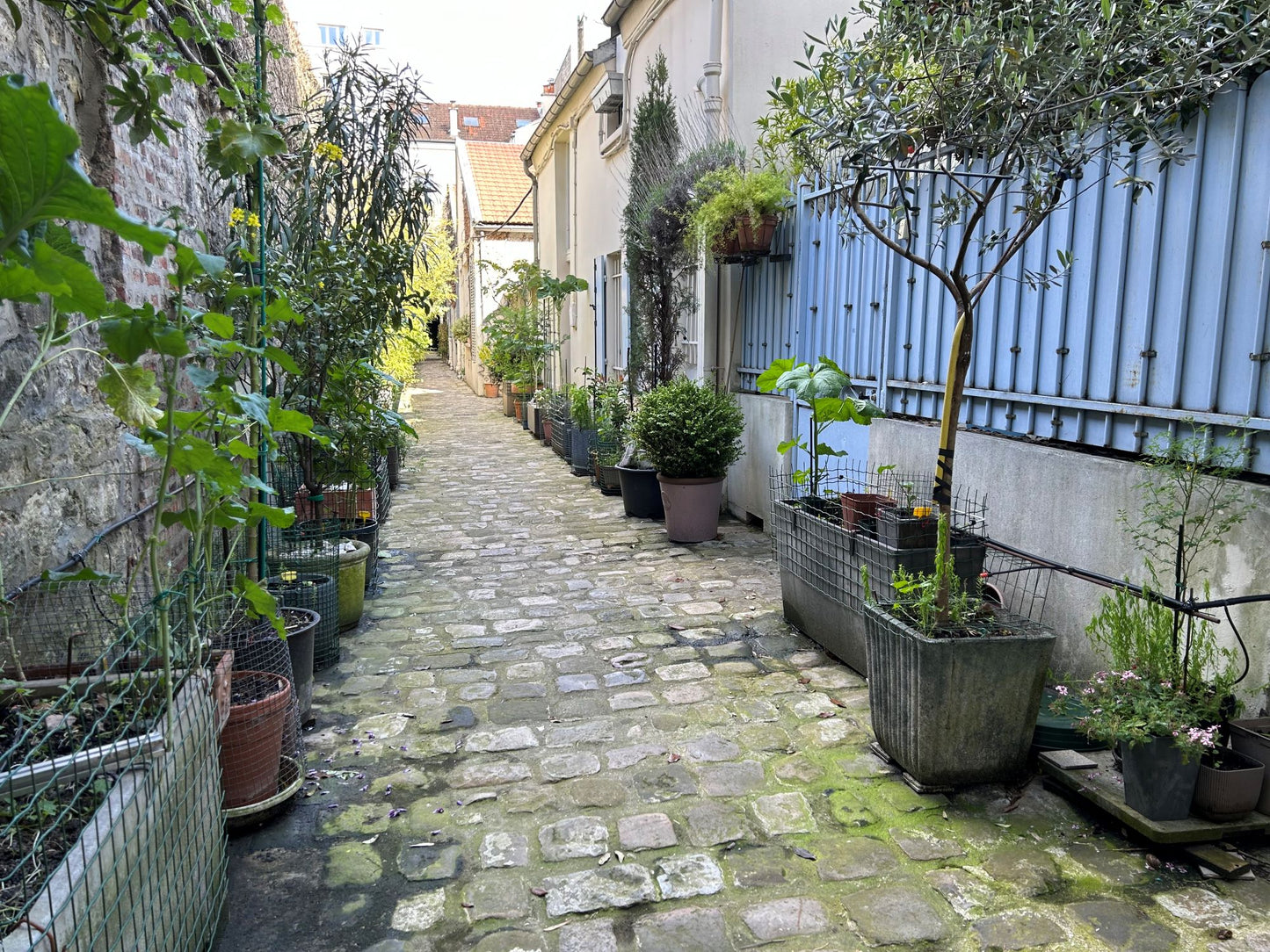 L'Appartement Jean Moulin