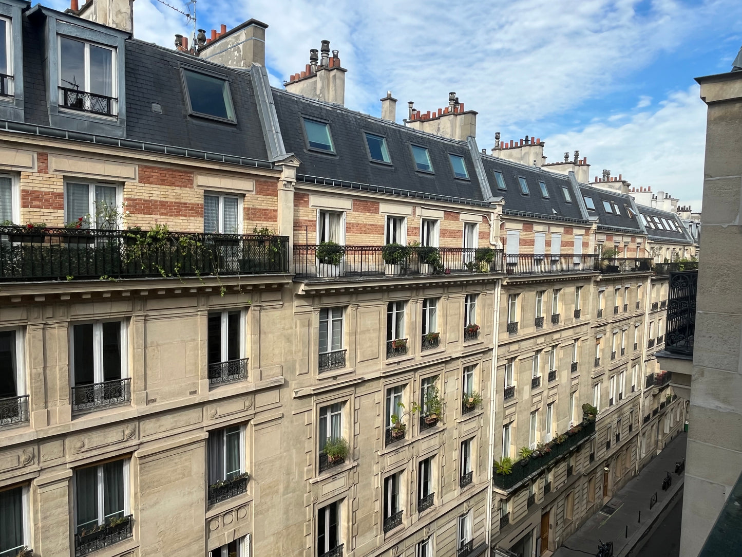 L'Appartement Belles Feuilles