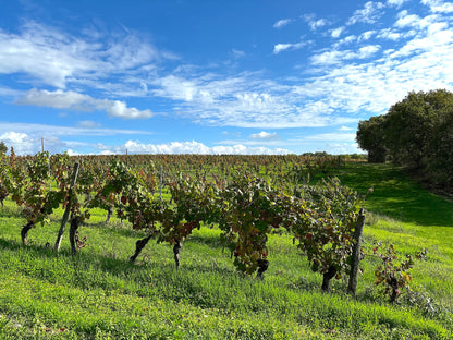 Hameau Cœur des Vignes